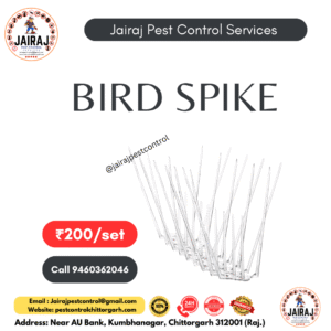 Bird Spike - Jairaj Pest Control Services Rajasthan