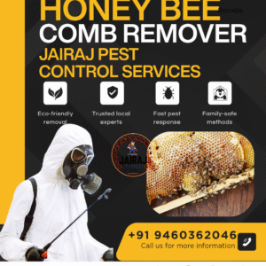 Honey Bee Remover - Jairaj Pest Control Services Rajasthan