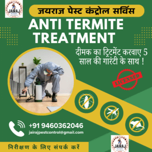 Anti Termite Treatment - दीमक का स्थाई ट्रीटमेंट - जयराज पेस्ट कंट्रोल सर्विस