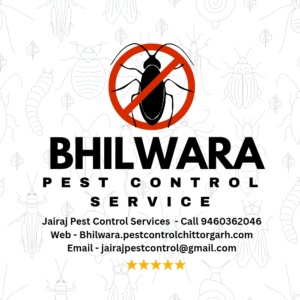 Best Pest Control Services in Bhilwara - Call 9460362046 - Jairaj Pest Control Services - Termite Treatment in Bhilwara - Deemak Ilaj - 5 Year Warranty