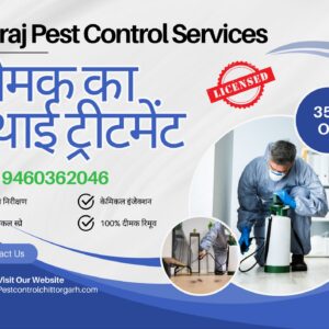 Pest Control Services
