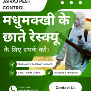 Honey Bee Combo Rescue Rajasthan मधुमक्खी छठा रेस्क्यू कॉल करे 9460362046