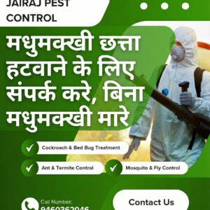 मधुमक्खी का छत्ता हटाने वाले - Honey Bee Rescue Rajasthan - Call 9460362046