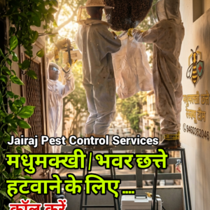 मधुमक्खी छत्ते हटवाने के लिए - madhumkahi chate rescue - honey Bee Comb Rescue - call 9460362046