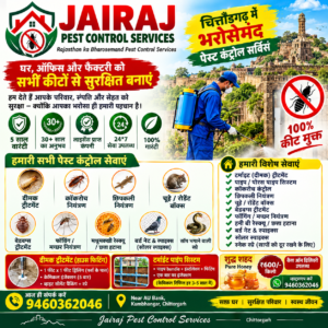 दीमक, कॉकरोच, छिपकली, चूहे, मच्छर, बेडबग्स - चित्तौड़गढ़ में भरोसेमंद पेस्ट कंट्रोल सर्विस! 9460362046 call now