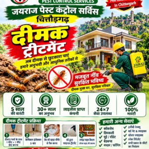 Best Deemak Treatment ₹1000/- No1 Pest Control Services in Rajasthan 9460362046 - M/S Jairaj Prajapat Last 30 Years Experience